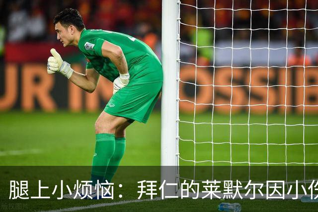 腿上小烦恼：拜仁的莱默尔因小伤缺战柏联